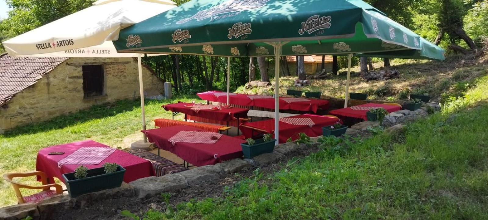 "Pivnica I Smestaj Jovanovic"- Rogljevacke Pivnice Rogljevo Exterior photo